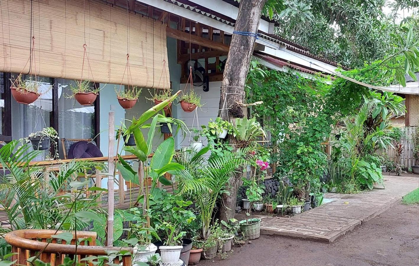 Hotel Marta House Gili Air Exterior foto